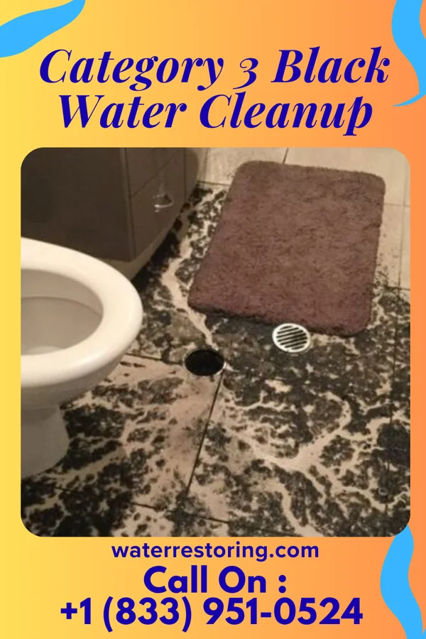 Category 3 Black Water Cleanup in Redmon, IL
