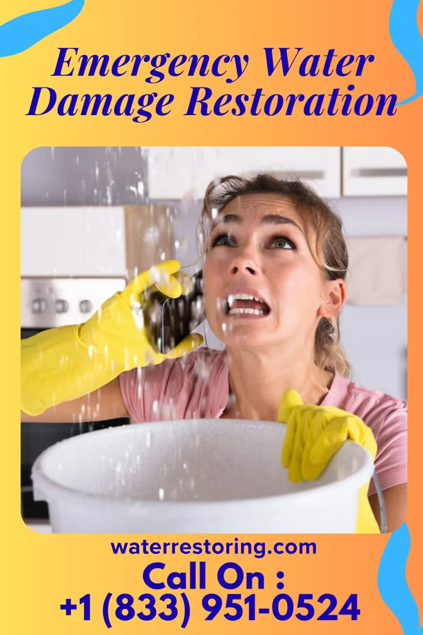 Emergency Water Damage Restoration in Redmon, IL