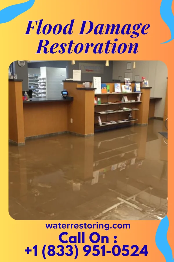 Flood Damage Restoration in Redmon, IL