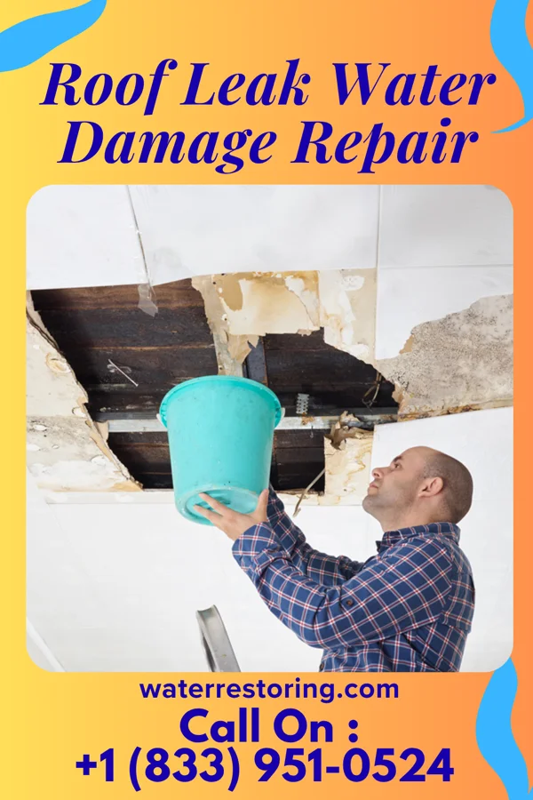 Roof Leak Water Damage Repair in Redmon, IL