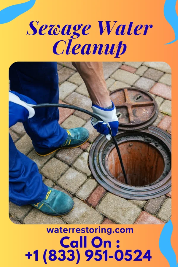Sewage Water Cleanup in Redmon, IL