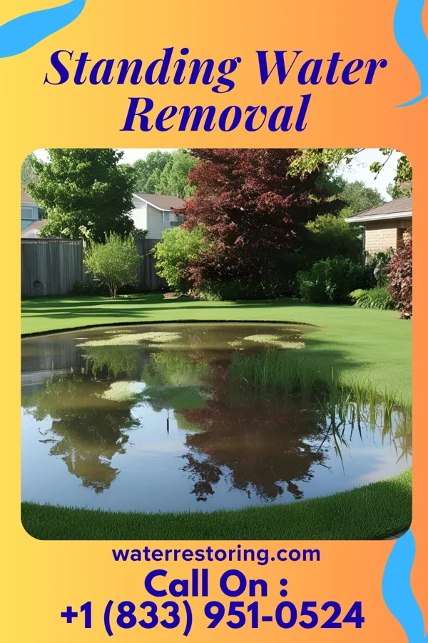 Standing Water Removal in Redmon, IL
